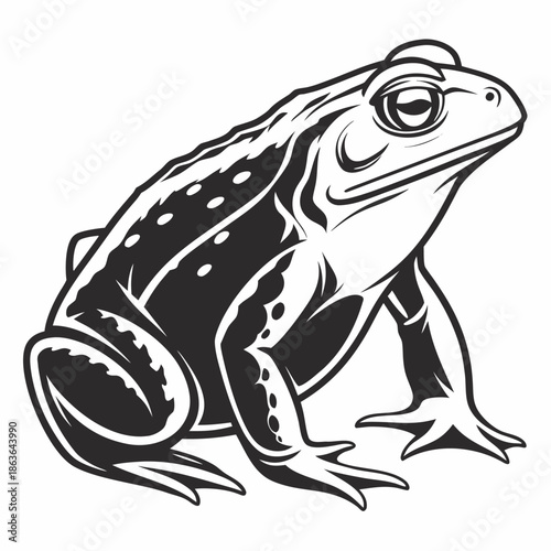 Stylized black and white illustration featuring a detailed side profile view of a strong sitting toad or large frog in a graphic art design style