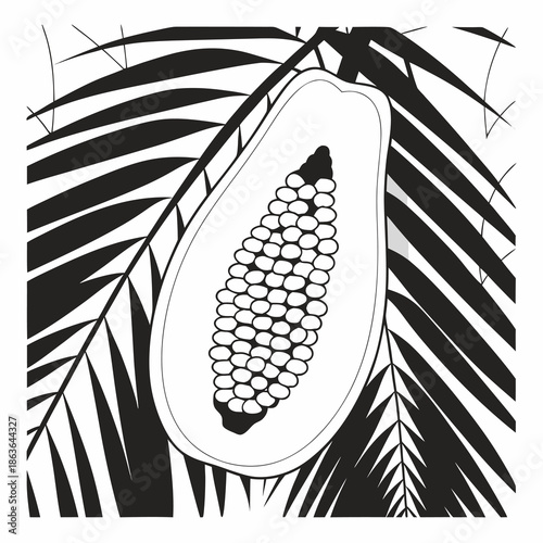 Striking black and white graphic design featuring a halved papaya fruit showing its many seeds centered against a dramatic background of tropical palm fronds.