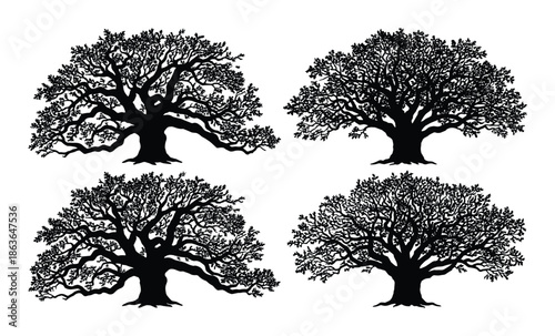 Four detailed black silhouette trees, providing graphic resources for natural or landscape projects, forest scene.