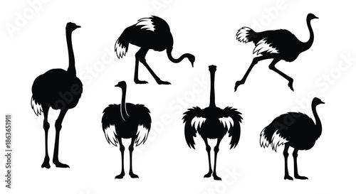 A collection of black silhouette images depicting several ostriches in various poses