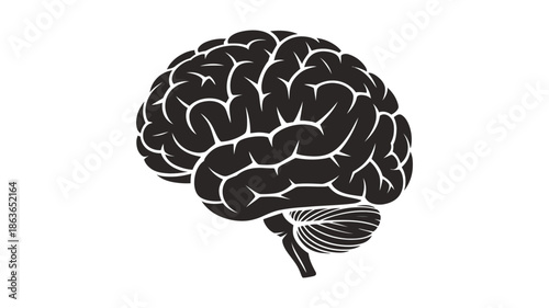 A detailed black and white illustration of a human brain with intricate convolutions