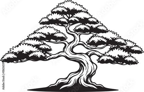 Detailed silhouette of a traditional bonsai tree, miniature Japanese garden plant aesthetic