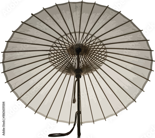 Traditional Japanese Wagasa Oil-Paper Umbrella Graphic Illustration Viewed from Above