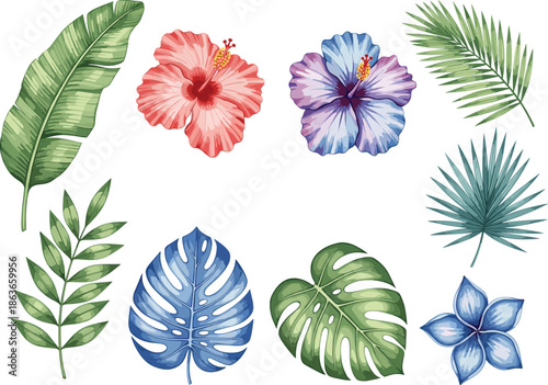 Tropical leaves and flowers vector set with hibiscus palm monstera foliage botanical elements isolated on white background