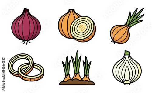 Set of cartoon onions: red, yellow, sliced, and growing. Vector illustration of fresh and healthy vegetables.