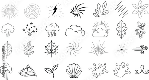 Collection of various black and white plant illustrations