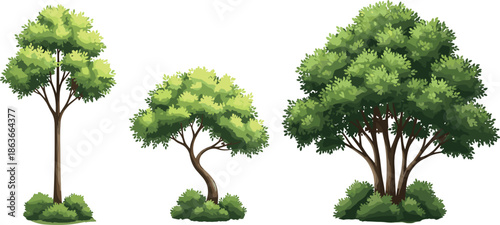 Set of three distinct green trees with lush foliage and brown trunks, vector illustration in a natural, stylized cartoon style for landscape and park designs.
