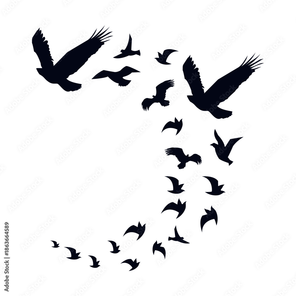 Obraz premium Flying Birds Silhouette. Isolated on White Background. Vector Illustration