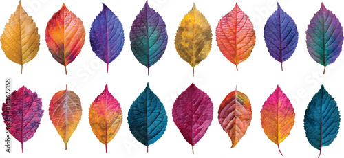 set of colorful autumn leaves