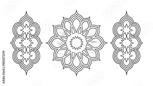 Geometric Ornament: An intricate set of geometric ornament. The complex design, a visual symphony of symmetry, offers a captivating glimpse into the beauty of structure.