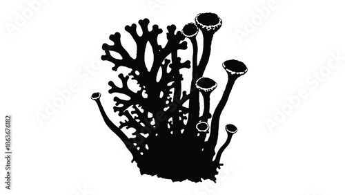 a striking black and white illustration of various mushroom and coral like fungal formations standing out