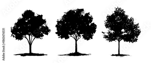 Vector White And Black Minimal Nature Tree Assets Isolated on White