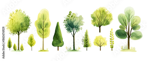 Vector Hand Drawn Green Tree Collection Isolated on White Background