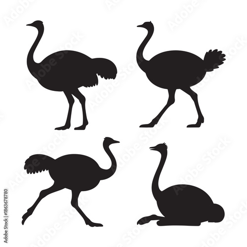 Four black silhouettes of ostriches in various poses on a white background