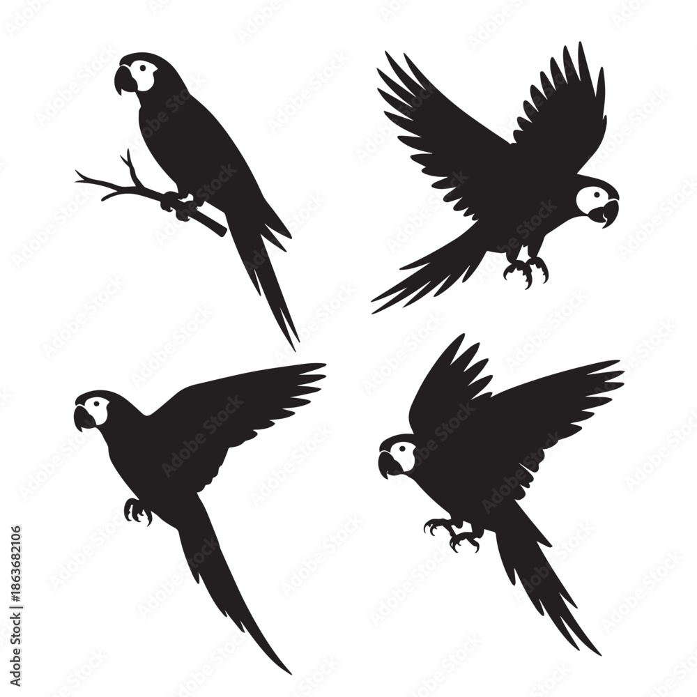 Obraz premium Four black and white silhouettes of parrots in different flying positions on a plain white background
