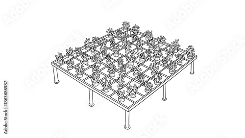 Isometric hydroponic garden layout with potted plants on elevated platform