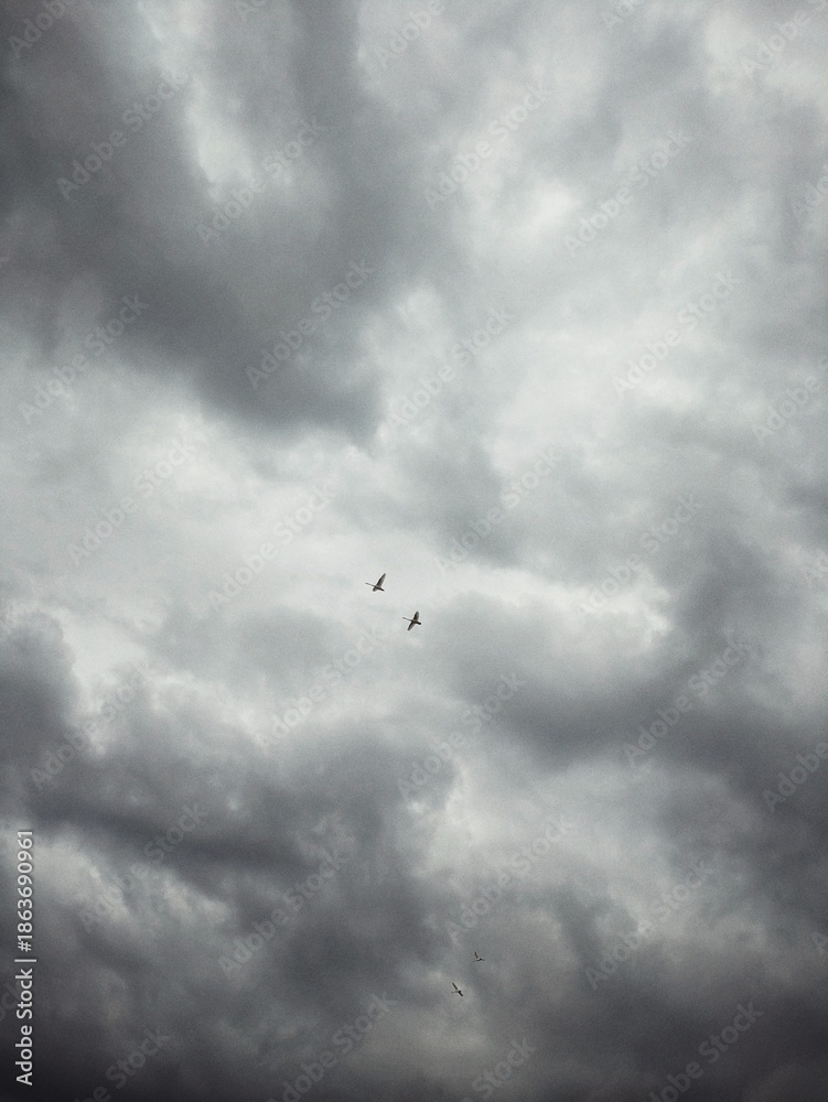 Fototapeta premium storm clouds timelapse