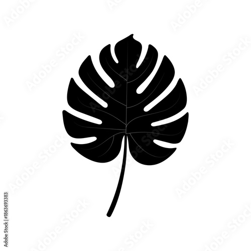 Philodendron leaf, monstera leaf silhouette vector