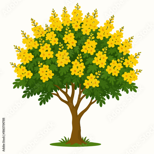 Illustration of a flowering angsana tree