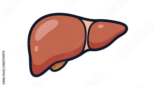 Illustration of a human liver in a simple cartoon style, depicting a vital internal organ for medical and educational purposes