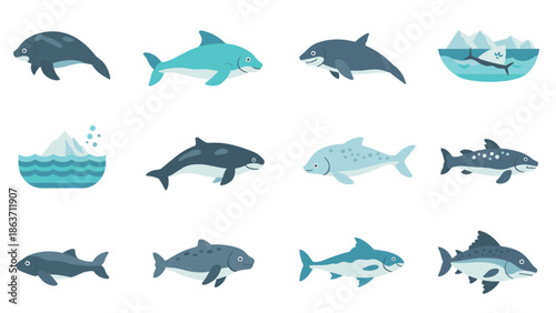 Diverse marine wildlife icons in flat style featuring whales, sharks, and fish