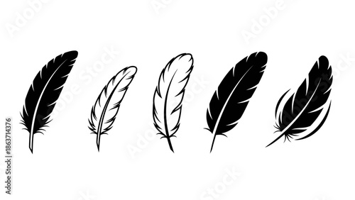 Set of elegant black and white stylized feather illustrations, capturing delicate natural beauty and ethereal lightness, ideal for graphic design, artistic decor, and creative projects