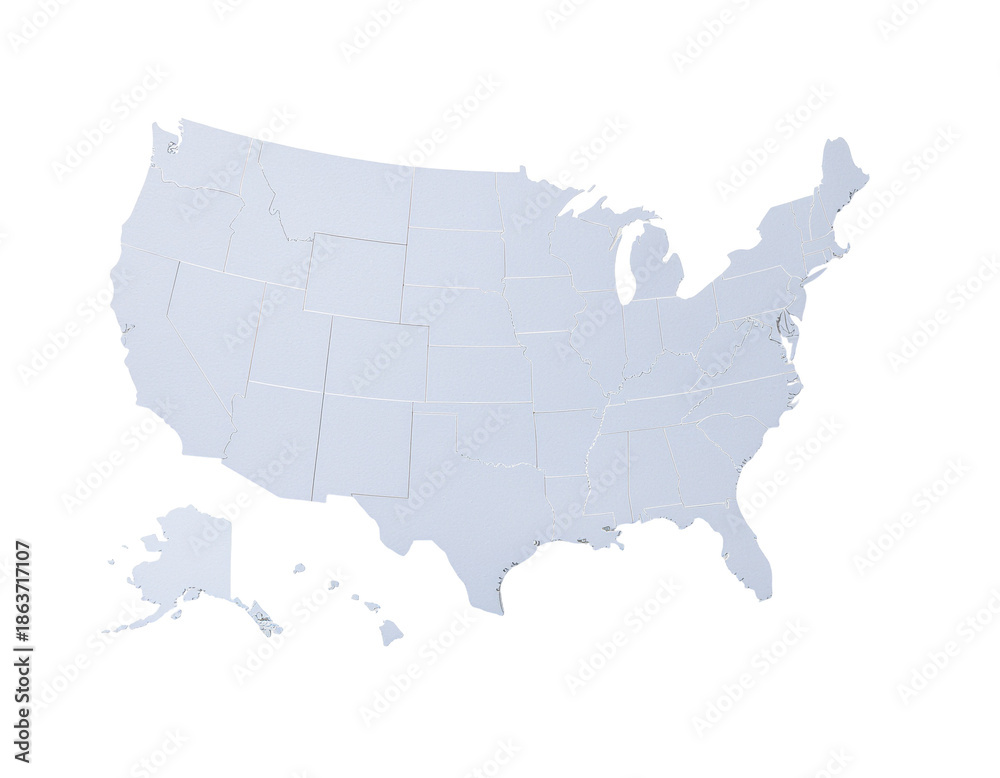 Fototapeta premium Blank state map of the united states with subtle light blue coloring for educational and geographic presentations