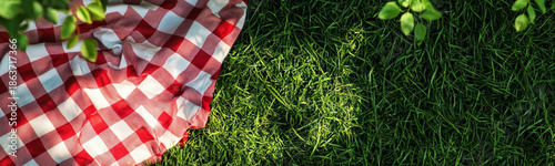 Classic red and white checkered picnic blanket spread over a lush green lawn, representing a sunny summer day spent outdoors with family and friends in a peaceful park environment.