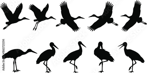 Black Stork Silhouettes Set with Flying and Standing Birds Isolated on White Background for Nature Wildlife and Logo Design Vector