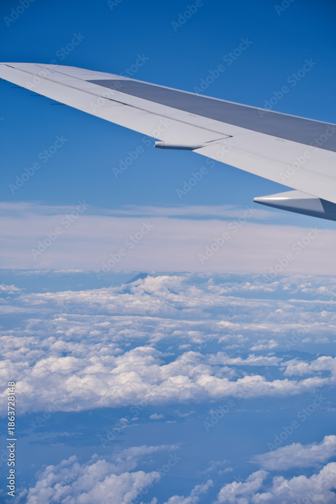 Obraz premium 飛行機の窓からの光景