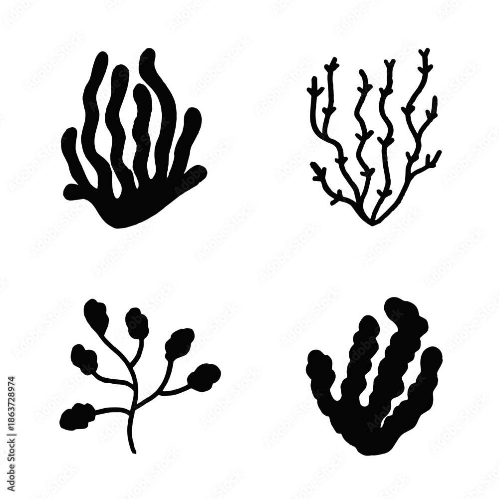 Fototapeta premium algae, marine plants