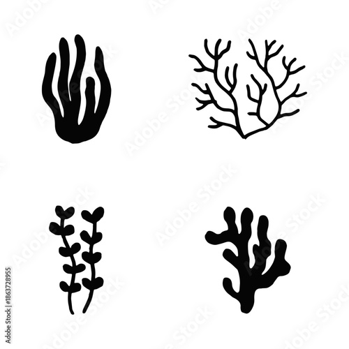 algae, marine plants