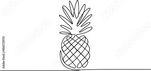 Pineapple tropical fruit in continuous line art drawing style.one line vector illustration with out background