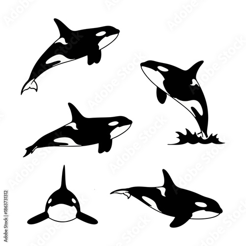 Silhouette set of orca killer whales jumping and swimming in the ocean.