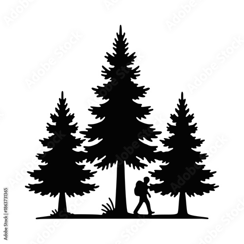 Silhouette of a hiker adventurer in a dense pine tree forest environment.