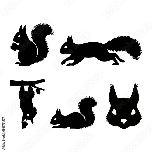 Silhouette set of squirrels climbing and holding nuts on branches.