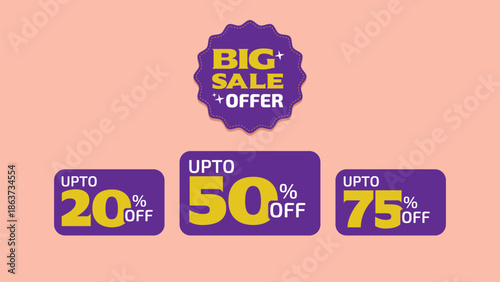 Big Sale Offer