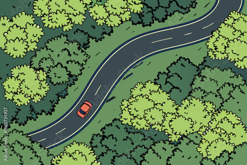  Aerial view, winding forest road, lush green canopy, bird's eye perspective, curving asphalt highway, dense woodland, treetops, cars on road, verdant landscape, overhead shot, nature and infrastruct