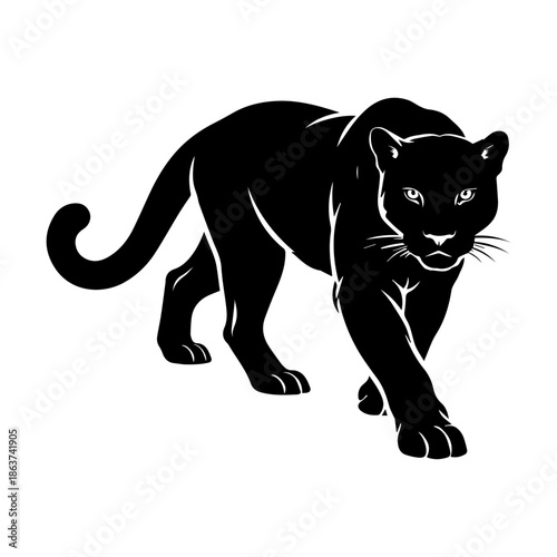 Panther silhouette illustration stealthy wild cat