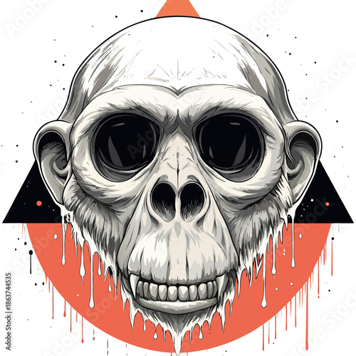 teschio di scimmia 02