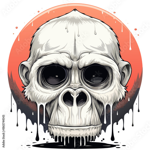 teschio di scimmia 01