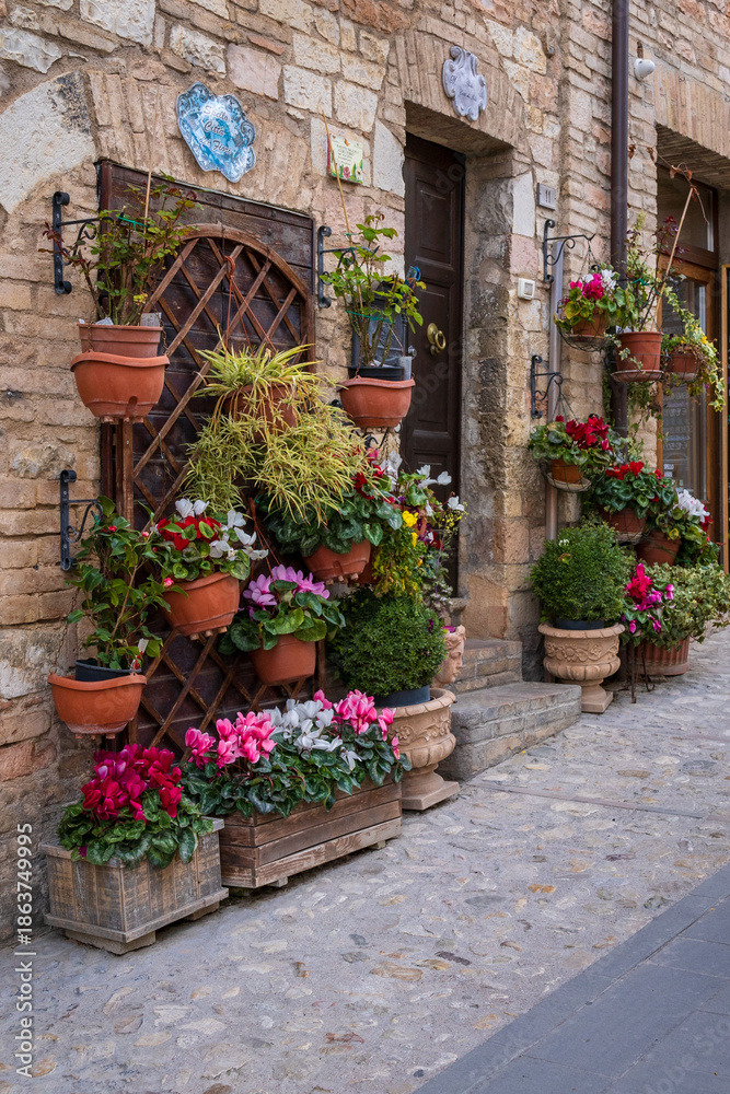Fototapeta premium the village of Spello in Umbria 