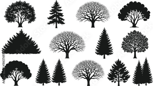 Tree silhouette set, forest nature collection, pine and oak wood, winter bare branch, landscape element, cad drawing flat vector illustration.