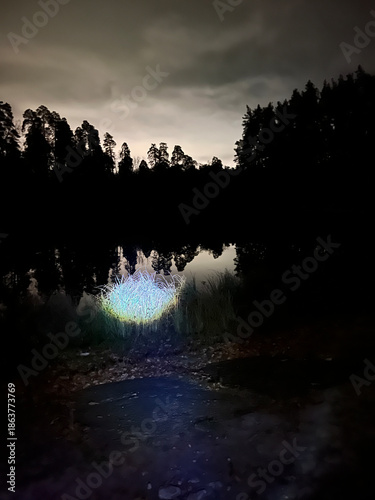 Glowing patch of grass illuminates the lakeshore, breaking the darkness of a quiet night forest. Reflections and silhouettes. Ukraine Voditsa Forest, Kyiv