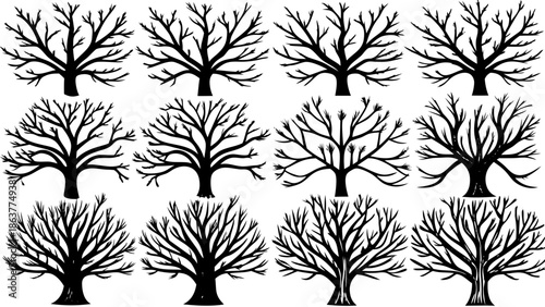 Collection of bare tree silhouettes in various shapes and sizes