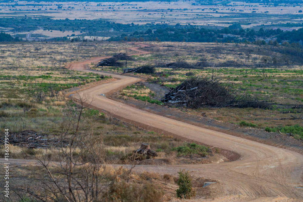 custom made wallpaper toronto digitalWinding Dirt Road Through Vast Open Landscape