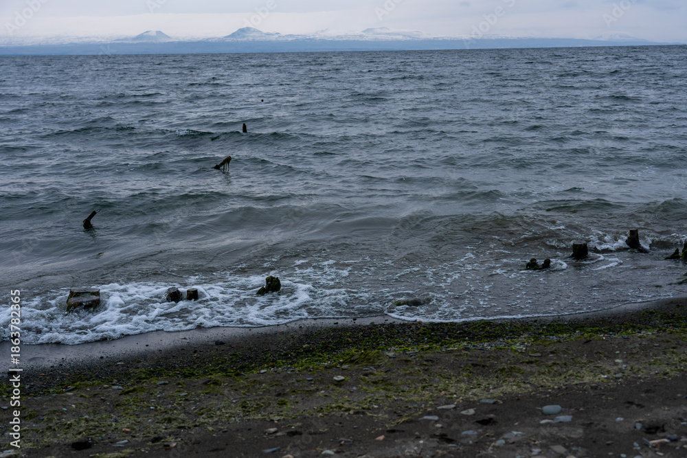 Obraz premium Wide View of Wave Breaking on Sea Shore with Algae-Covered Pebbles and Wooden Posts, Capturing the Cold, Natural Texture of the Beach.