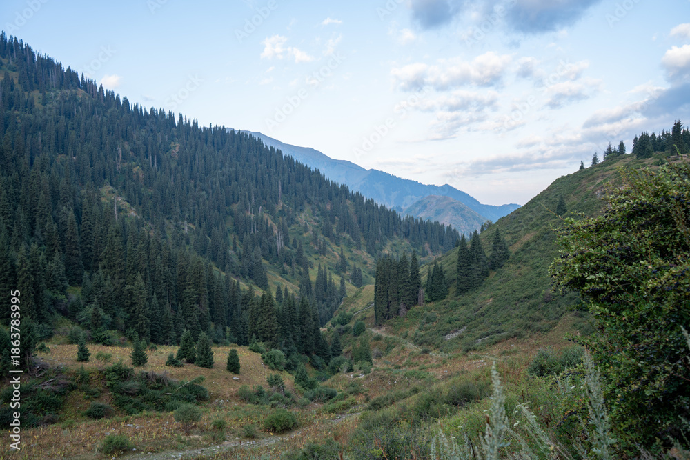 Obraz premium Panoramic mountain landscape of Trans-Ili Alatau range, Almaty, Kazakhstan. Hiking trail to Furmanov and Panorama peaks above 3000 meters in Tien Shan, Central Asia.