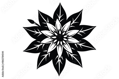 edelweiss silhouette line art vector illustration