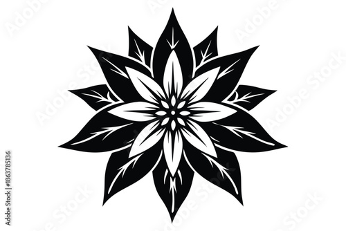 edelweiss silhouette line art vector illustration
